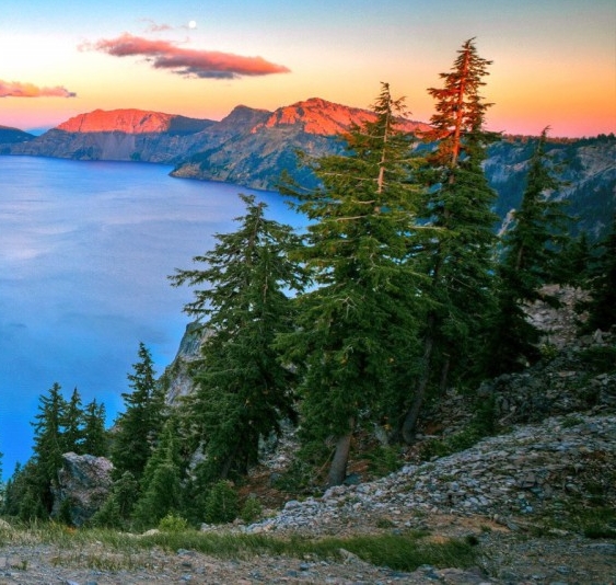 躺着都能赚钱的案例