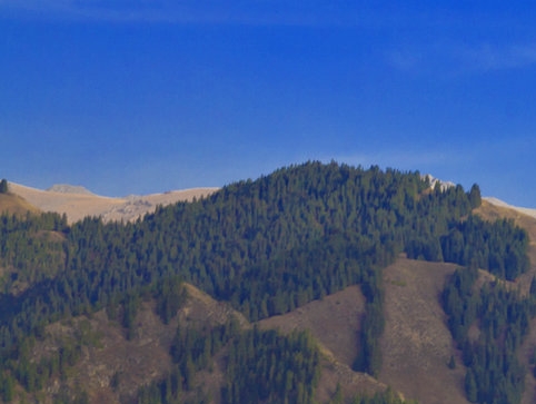 现在做什么生意赚钱