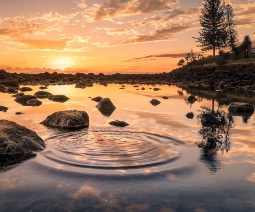 垃圾电影赚钱的案例分析