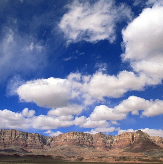 养蜂需要投资什么项目赚钱