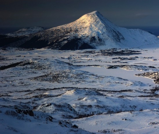 有什么赚钱快的路子