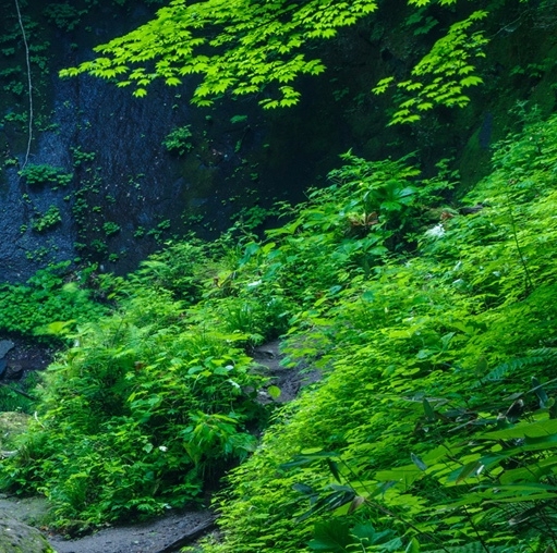 爱情背后的陷阱