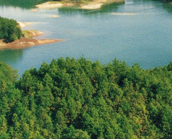 亿万富翁为什么还要赚钱