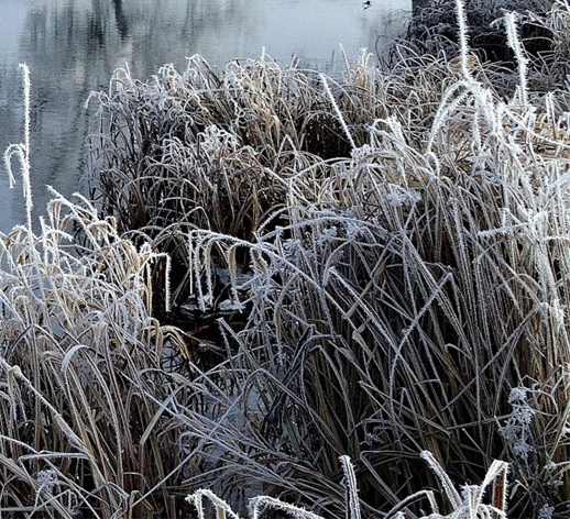 新项目赚钱方法有几种呢