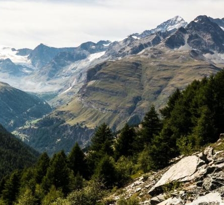 在小区挣钱的案例