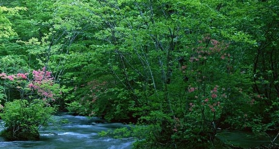 保定赚钱的行业