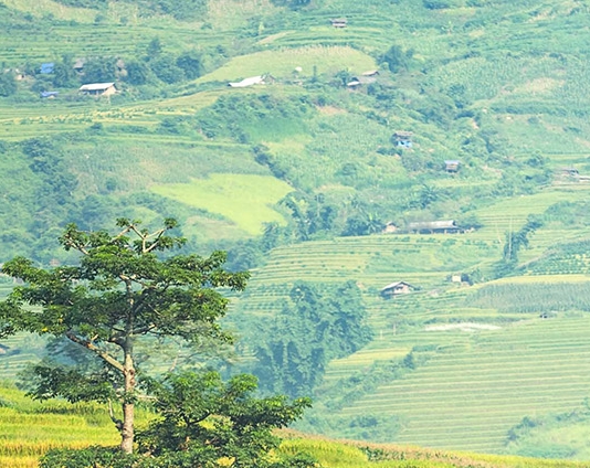 龙湖项目摆摊卖什么好赚钱