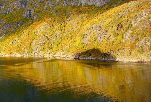 哪一本书讲赚钱案例的知识