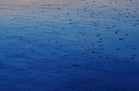 专利法案例分析