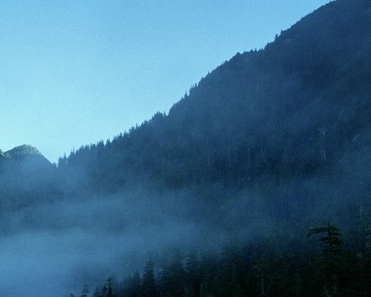 认知心理学的例子