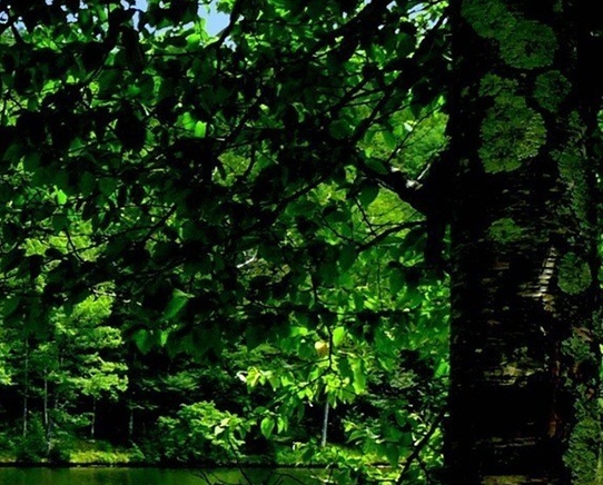 自己创业小项目摆摊赚钱吗