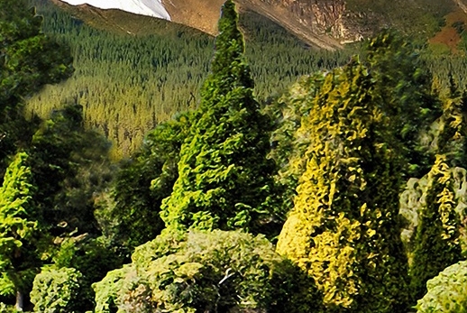 没人如何创业小项目赚钱