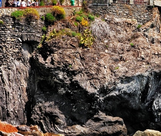 敦煌直播赚钱项目活动方案