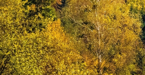 农村什么行业最赚钱