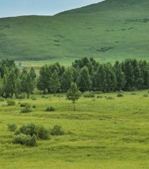 农村种植什么最赚钱