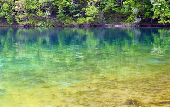 换车赚钱的好方法