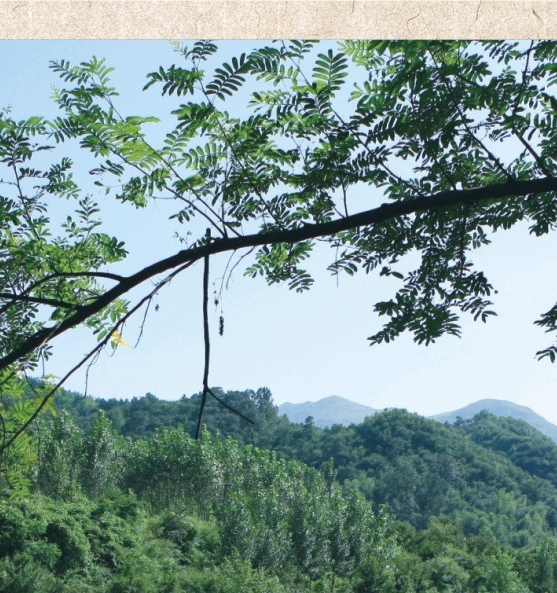 餐饮空挡赚钱案例