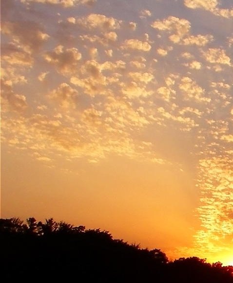 网上授课家教兼职