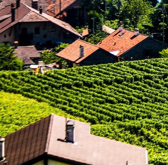 足疗经理管理方式