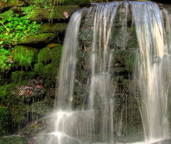 魔法星球赚钱方法大全视频