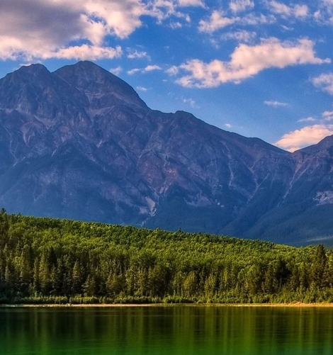 西瓜视频赚钱案例分析题