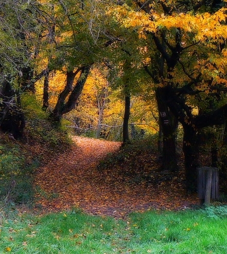 炒黄金需要懂哪些技术