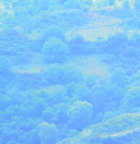 冰雪项目是否赚钱多些