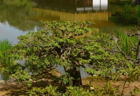 不以赚钱为目的