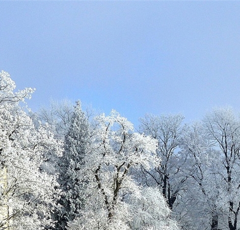 抖音修复图片赚钱案例分享