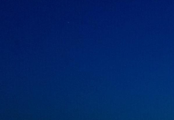 演出字画拍卖的骗局