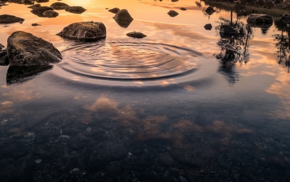 36篇商业赚钱案例