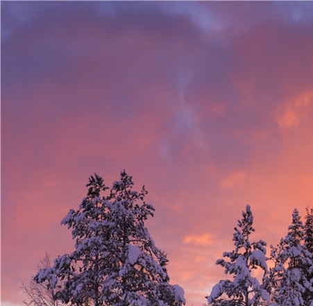在家赚钱的方法