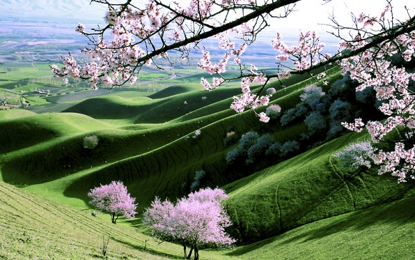 缅甸有什么发财的机会