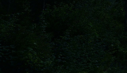 网盘赚钱项目文案简短有趣