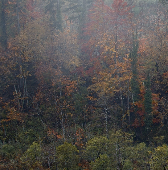 投资最少的赚钱项目是哪些