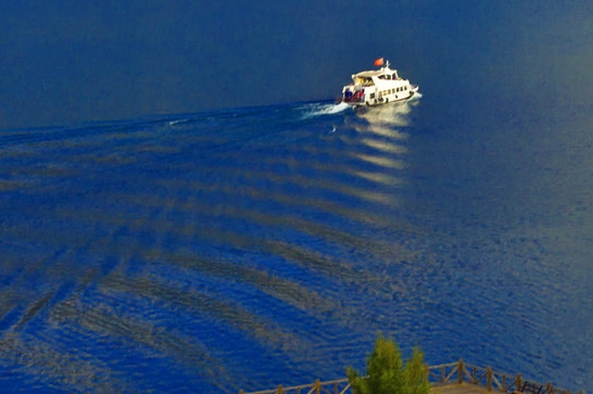 走路养猪赚钱的方法