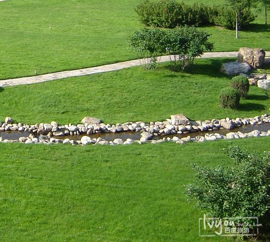 手机突然多了一个soloop即录