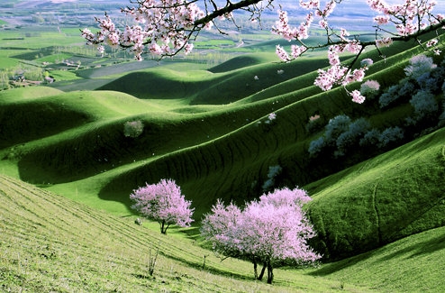 仰光有什么赚钱项目嘛