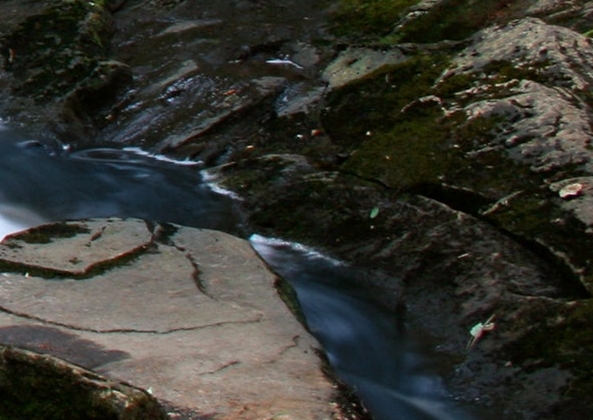 保险诈骗案例真实新闻