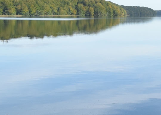 青岛人赚钱方法有哪些