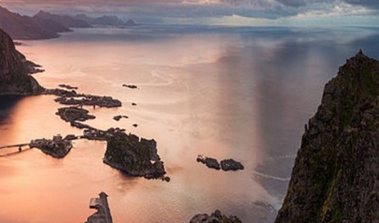 杀死杨树简单方法