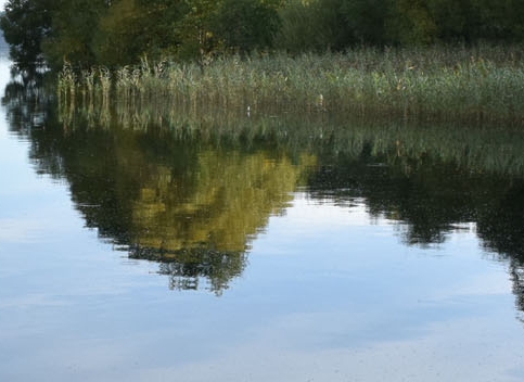 不以赚钱为目的心得