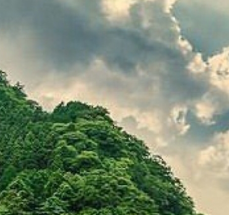 今年什么好赚钱的项目