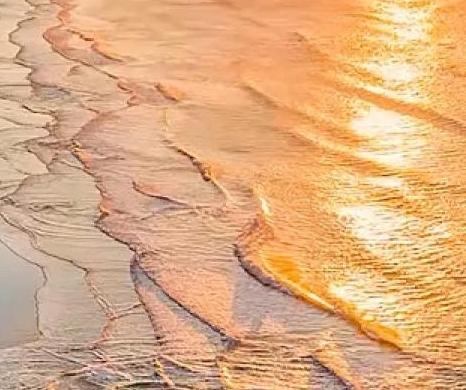 炒股养家交割单图解