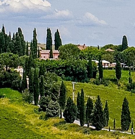 地产项目和财政项目谁赚钱