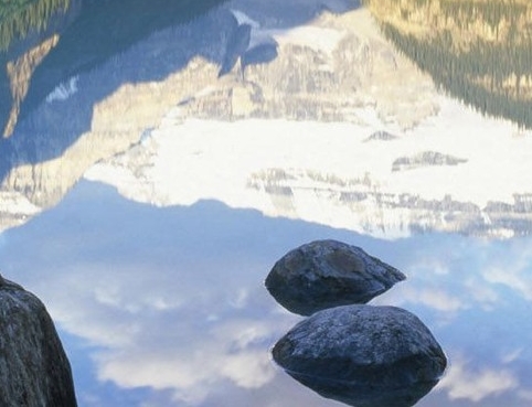 案例分析题及答案