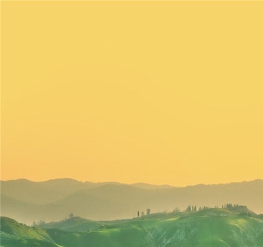 草根站长赚钱案例