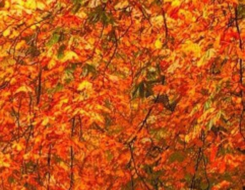 如果不能躺着挣钱