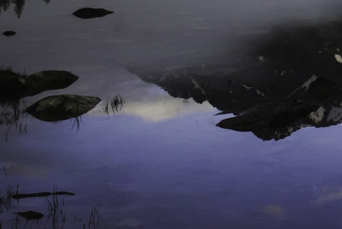 休闲农庄赚钱案例