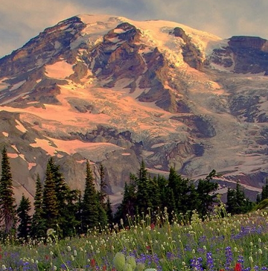 电玩游戏赚钱项目推荐